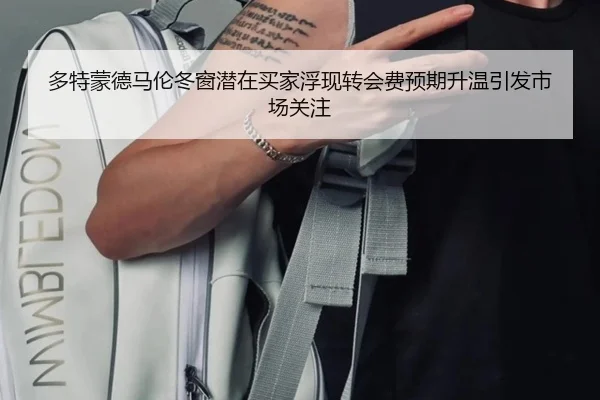 多特蒙德马伦冬窗潜在买家浮现转会费预期升温引发市场关注